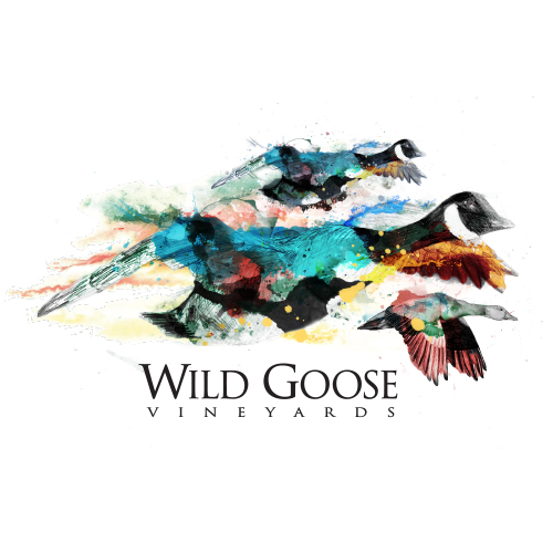 Wild Goose Digital draft logo