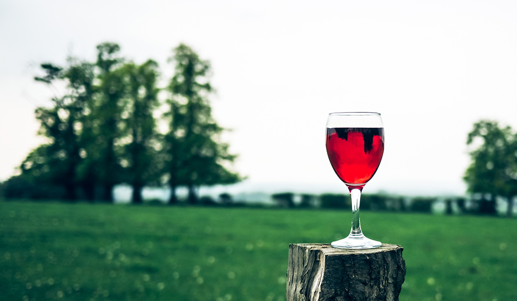 Red Wine Winery Vineyard photo by Jamie