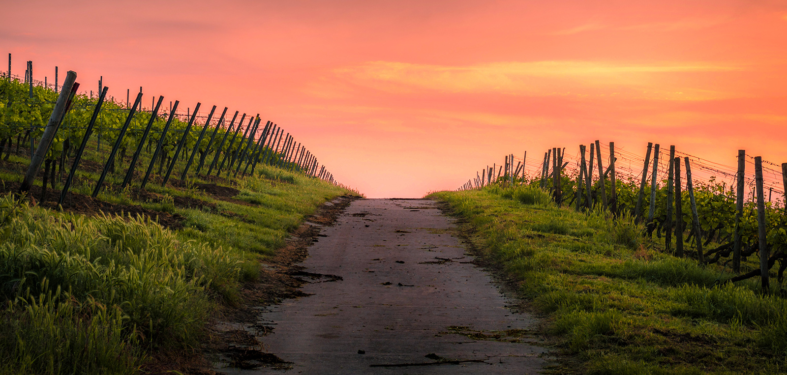 Winery Sunset photo by Header Karstenwurth