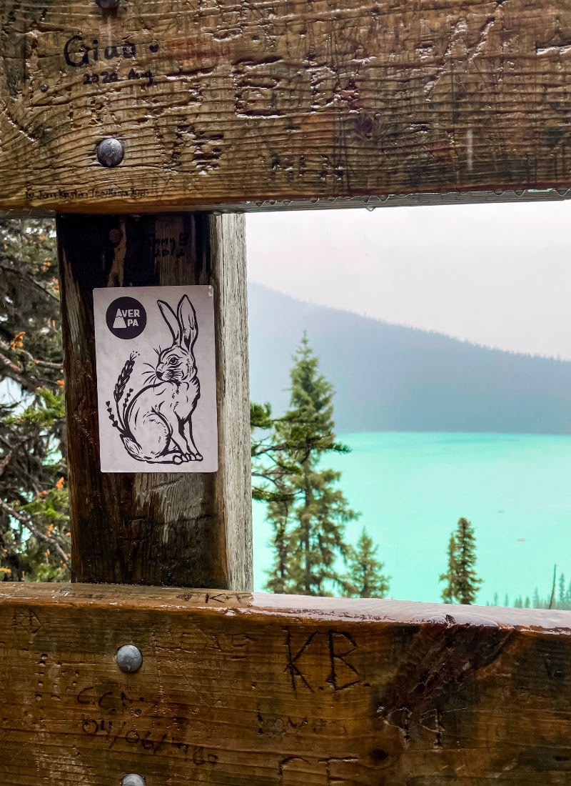 Panoramic lake photo with rabbit logo sticker